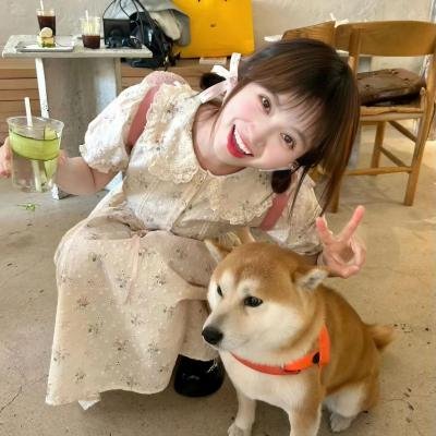 猎赝